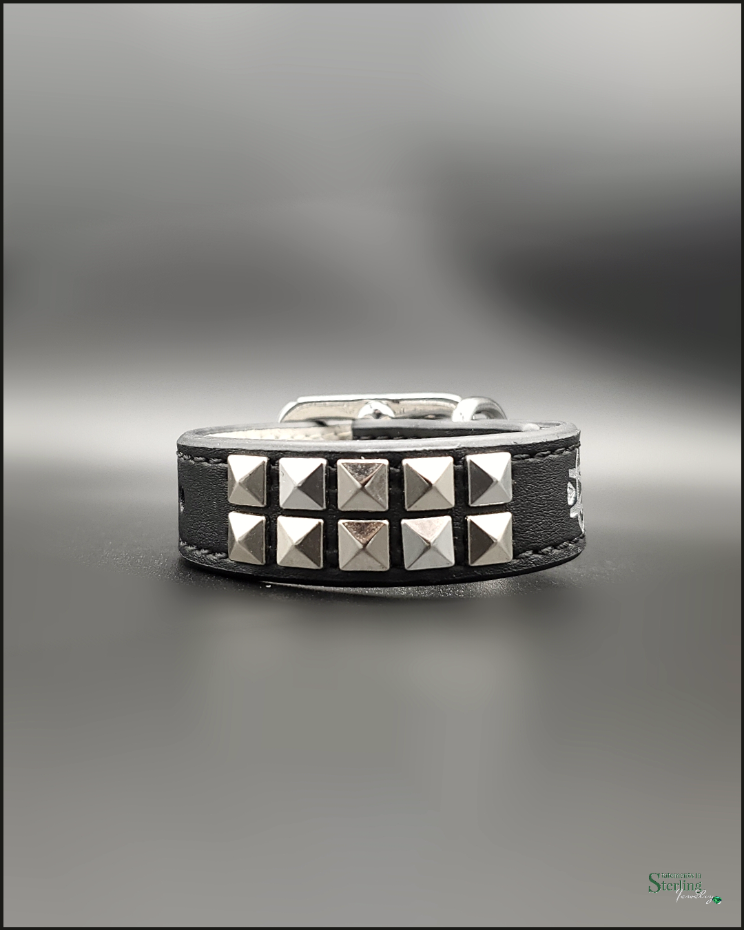 Mutt Couture Silver Studded Leather Petite Dog Collar in Black