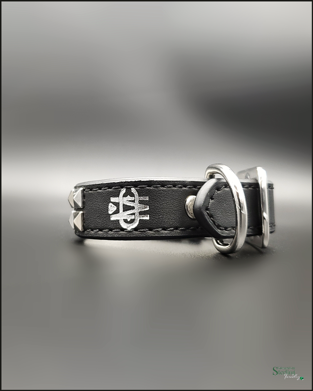 Mutt Couture Silver Studded Leather Petite Dog Collar in Black