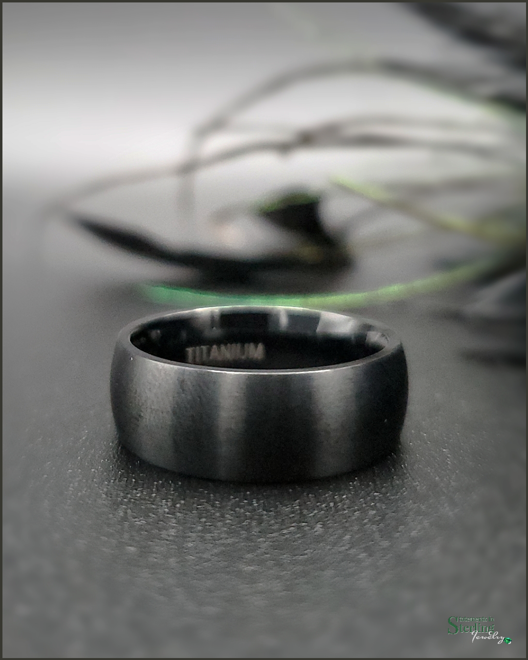 Titanium Ring Band in Brushed Black