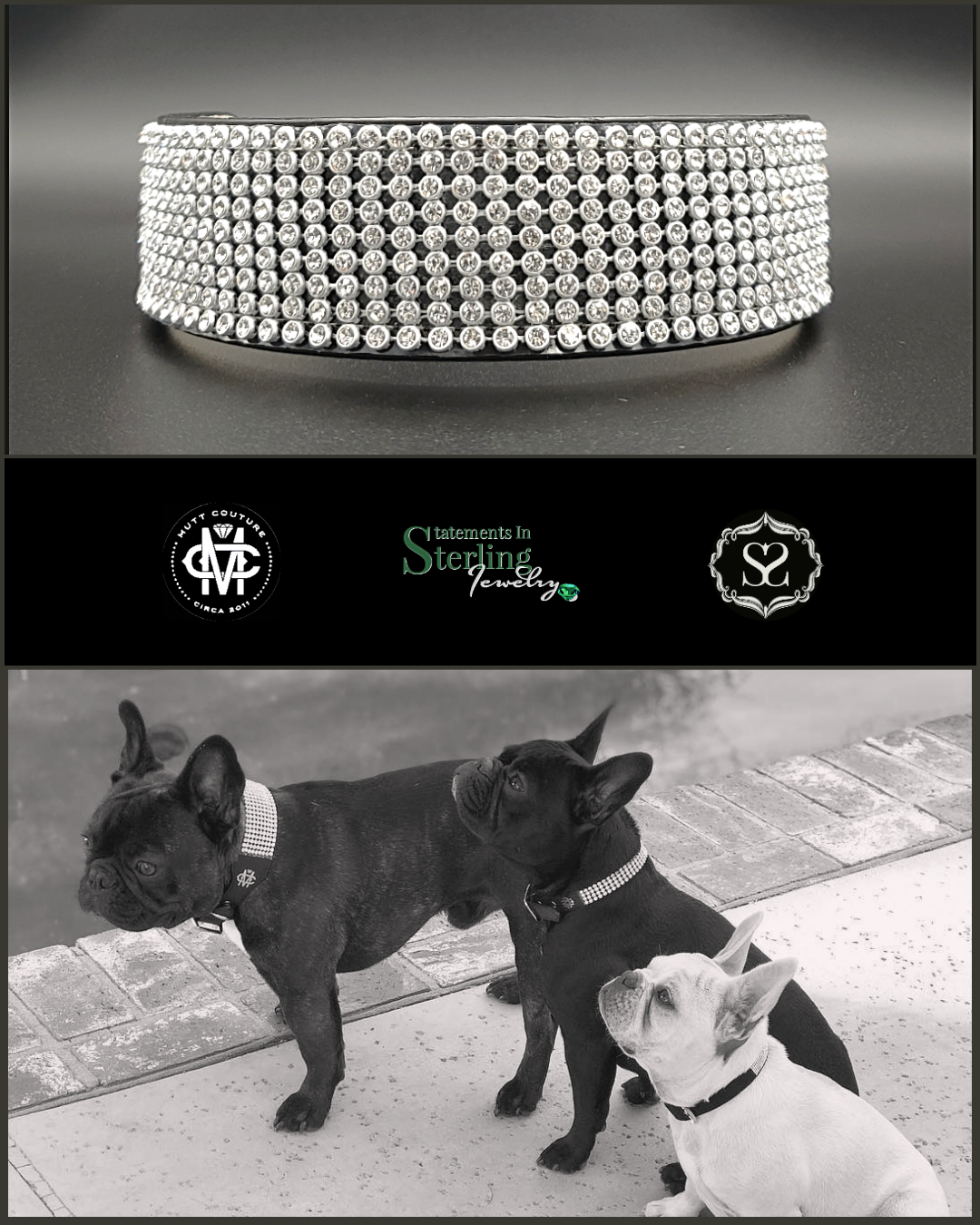 Mutt Couture Rhinestone and Leather Petite Glam Dog Collar in Black