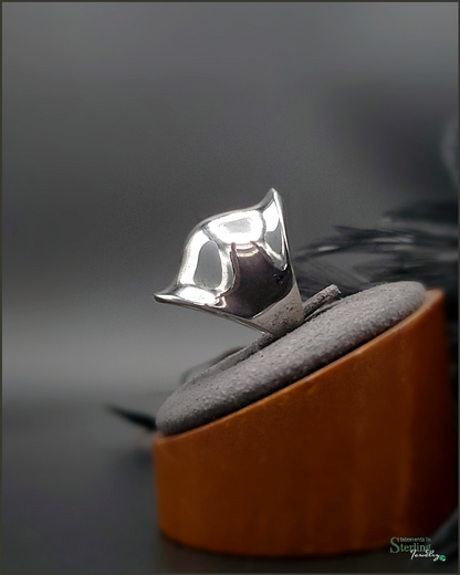 Sterling Silver Unique Ring in Polished